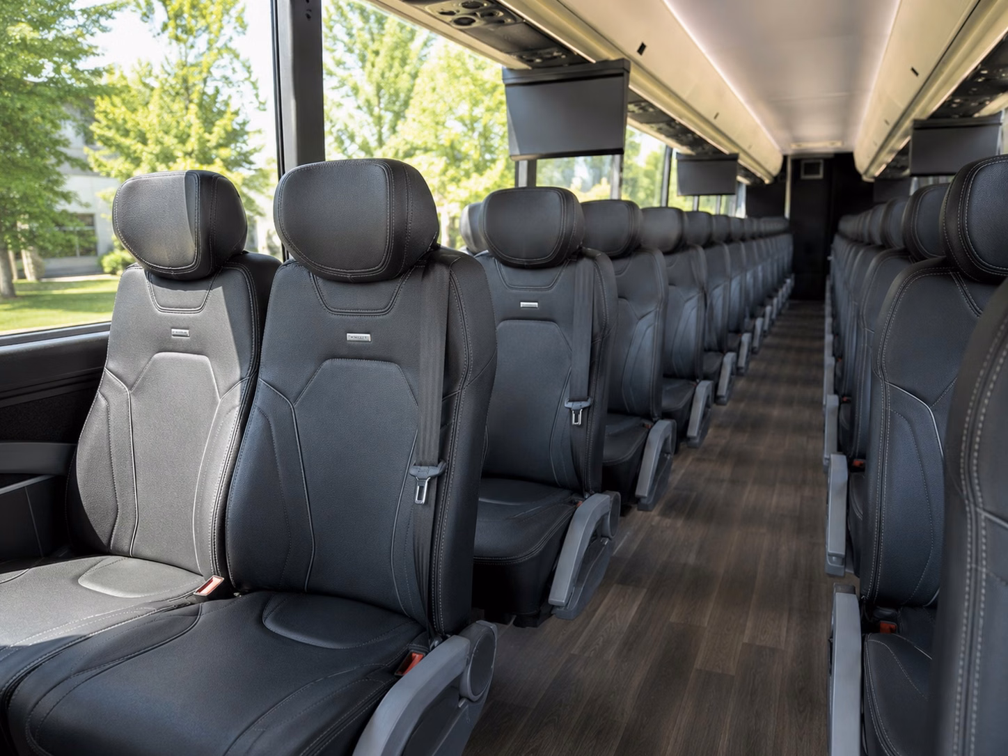 ford field group transportation for lions fans from royal oak