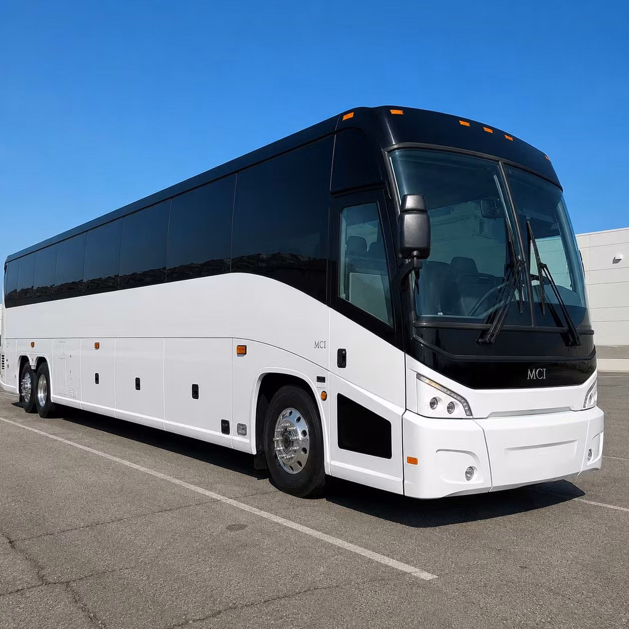 royal oak pub crawl and pre concert party buses